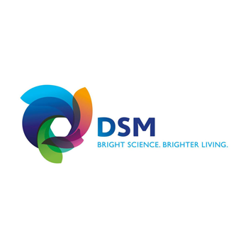works-dsm